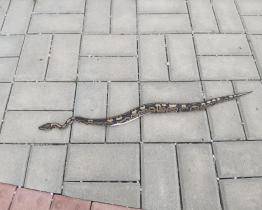 Nečekaný výjev ve Valašských Kloboukách! U hřbitova se plazila půlmetrová krajta