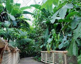 Skupinka návštěvníků krmila chvostany a tahala je za ocas. Zlínská zoo zveřejnila usvědčující video