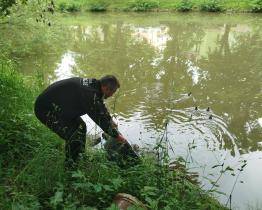 Do záchrany neposedných kachňat v Luhačovicích se zapojili strážníci i hasiči