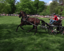 V parku zámku Kinských se konala Prvomájová slavnost
