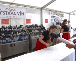 Májová výstava vín Veselska nabídla na 260 vzorků