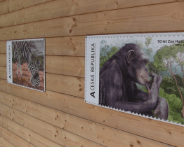 Hodonínská zoo slaví výročí založení množstvím kulturních a zážitkových akcí