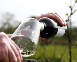 Už zase můžete navštívit Hradišťské otevřené sklepy