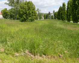 Sečení trávy se řídí klimatickými podmínkami a požadavky uživatelů