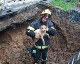 Pejsek se polekal bouřky a spadl do výkopu. Záchranu i šťastné shledání s páníčkem zařídili hasiči