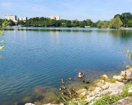 Vylepšené Štěrkoviště láká na klasiku i novinky. Otevírá už zítra