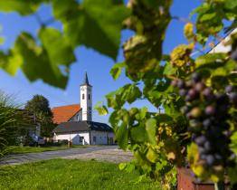 Vesnicí roku Zlínského kraje 2025 jsou Nedachlebice