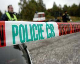 Ženu našli s vážnými poraněními blízko jejího domu, v nemocnici zemřela. Případ řeší kriminálka