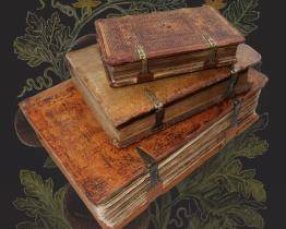 Muzeum Kroměřížska vystaví vzácný herbář, který změnil botaniku