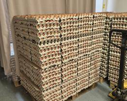 Veterináři nařídili stáhnout z trhu vejce z Uherskohradišťska. Mohou být zdravotně závadná