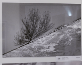 Výstava Týká se to také tebe spojuje ekologii, umění i humor