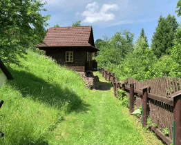 Arboretum v Semetíně láká na novinky i zážitky bosou nohou