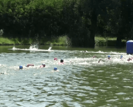 Rybník Cihelna obsadili dálkoví plavci