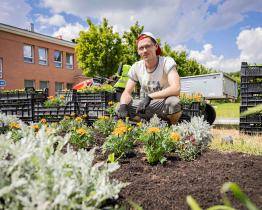 Zahradníci Baťovy nemocnice prosí návštěvníky i pacienty: Netrhejte květiny, užívejte si je