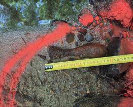 Malý, ale nebezpečný. U Starých Hutí se našel minometný granát