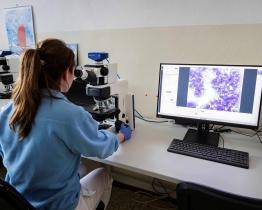 Krajská nemocnice chce výrazně posílit vědu a výzkum