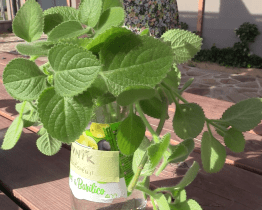 Součástí Hodonínských dnů pro klima byl také swap