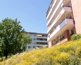 Jste hrdí na svou zahrádku? Pochlubte se s ní!