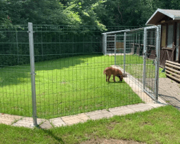 Zvířecí útulek v Jasenicích má nové výběhy pro psy