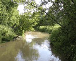 CHKO Soutok zasahuje i do katastru Hodonína