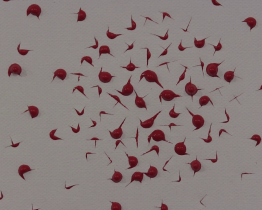 Při tvorbě obrazů využil Miroslav Konečný originální techniku nazvanou kapavka