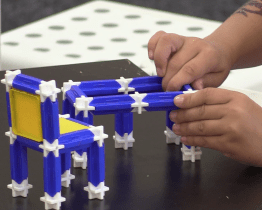 Svět kostiček se tentokrát zaměřil na faunu a flóru