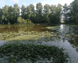 Upravuje se okolí rybníčku v bývalých kasárnách