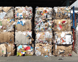 Startuje další ročník Ekosoutěže škol s Rudou Sběrňáčkem 