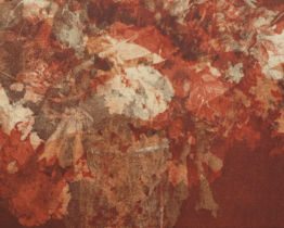 Vernisáž grafických prací v hodonínské GVU doprovodilo vystoupení písničkářky