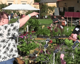 Trh místních produktů Mikroregionu Nový dvůr navštívily tisíce lidí