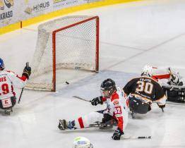 Sledge hokejisté potvrdili příchod Lepáčka, v neděli začínají s Pardubicemi