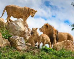 Zoo Zlín je podle recenzí návštěvníků nejlepší zoo v ČR. Překonala i Prahu