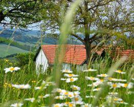 Po stopách Mornštajnové, Tučkové nebo Galušky. Literární místopis ČT zavede diváky i do našeho regionu