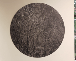 Panta Rhei letos propojila umělce z pěti zemí