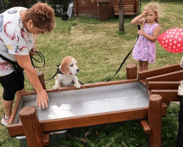 Komunitní setkání na Áčku nabídlo i canisterapii