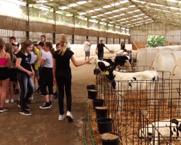 Podpora regionálních dodavatelů ve Zlínském kraji stále roste