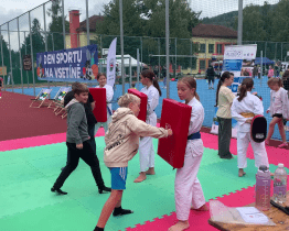 Škola Trávníky se proměnila v arénu Dne sportu