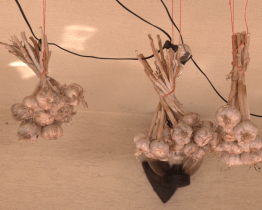 Oceněná chuť v sobě nese lásku a odkaz předků