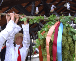 Na vinobraní v Lužicích hodnotili kvalitu úrody i hospodářský rok