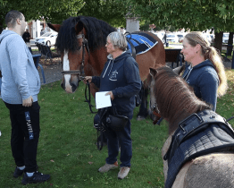 Veletrh představil nabídku sociálních služeb včetně hipoterapie 