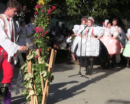 Nechory zažily vinobraní s téměř stoletou tradicí