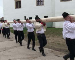 Na hody v Uherském Ostrohu letos dohlížela 24 metrů vysoká májka