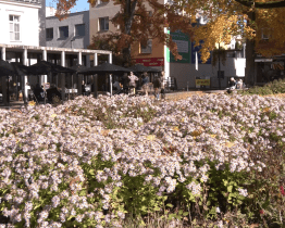 Ocenění Park čtvrtstoletí získal park Komenského
