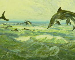 V Muzeu Jana Amose Komenského ožijí Pradávné světy Zdeňka Buriana