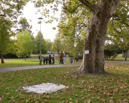 Děti si užily Den stromů v Jezuitské zahradě