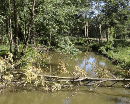 V Domě přírody Bílých Karpat se představila CHKO Soutok