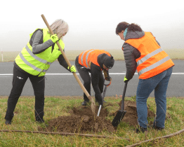 Zaměstnanci kraje a Continental Barum sázeli stromy
