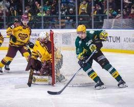 Berani padli v Táboře, Vsetín před nejvyšší návštěvou porazil Jihlavu