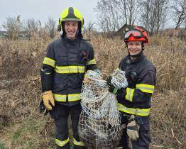 Nejkurióznější zásah roku? Na Štěpána hon na klokana