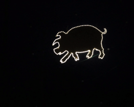 Nad koštem zelňaček proběhlo zlaté prasátko